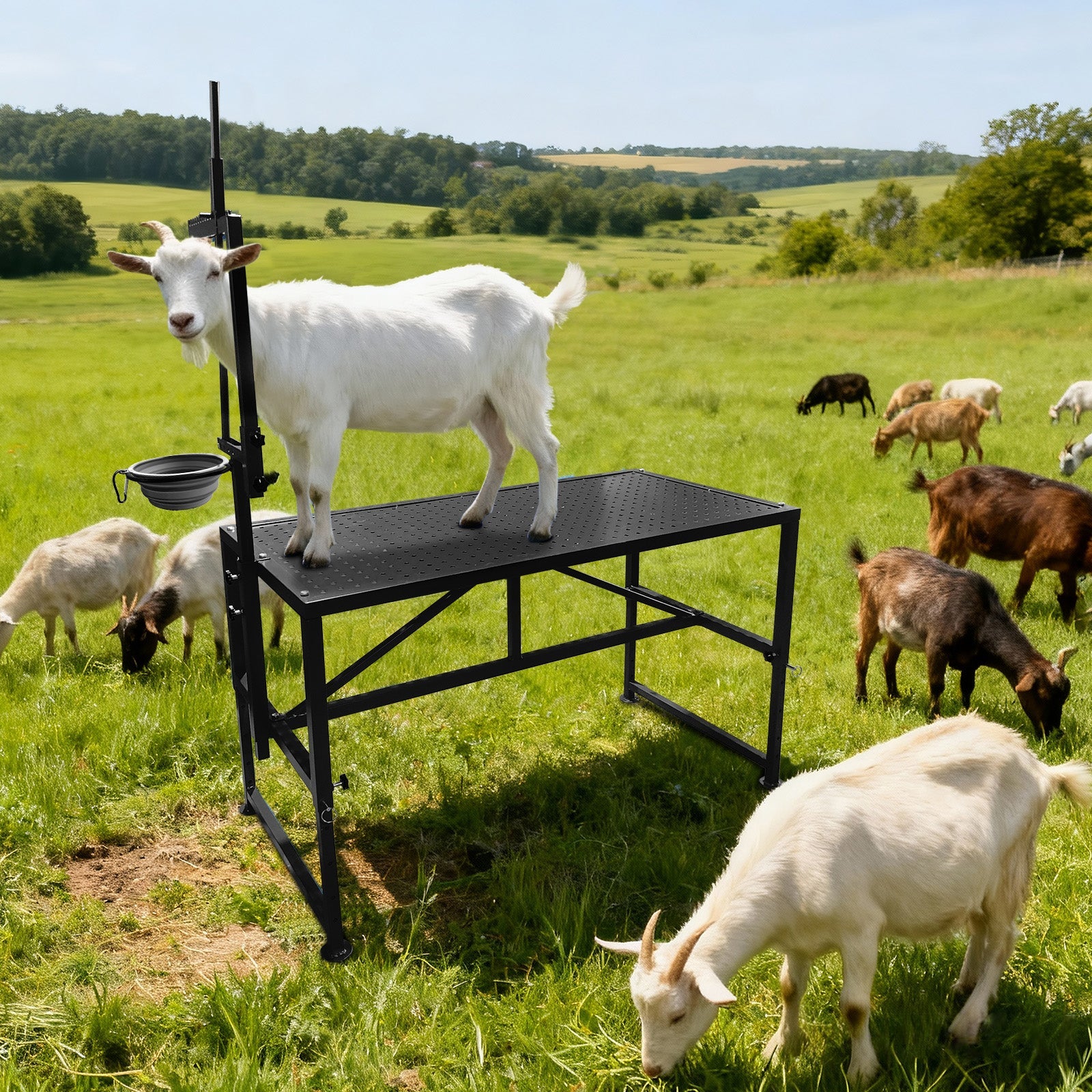 Garvee Goat Stand with Feed Bin, Heavy Duty 600LBs Goat Trimming Stand with Adjustable Head and Legs, Livestock Table for Sheep Trimming and Milking, Black