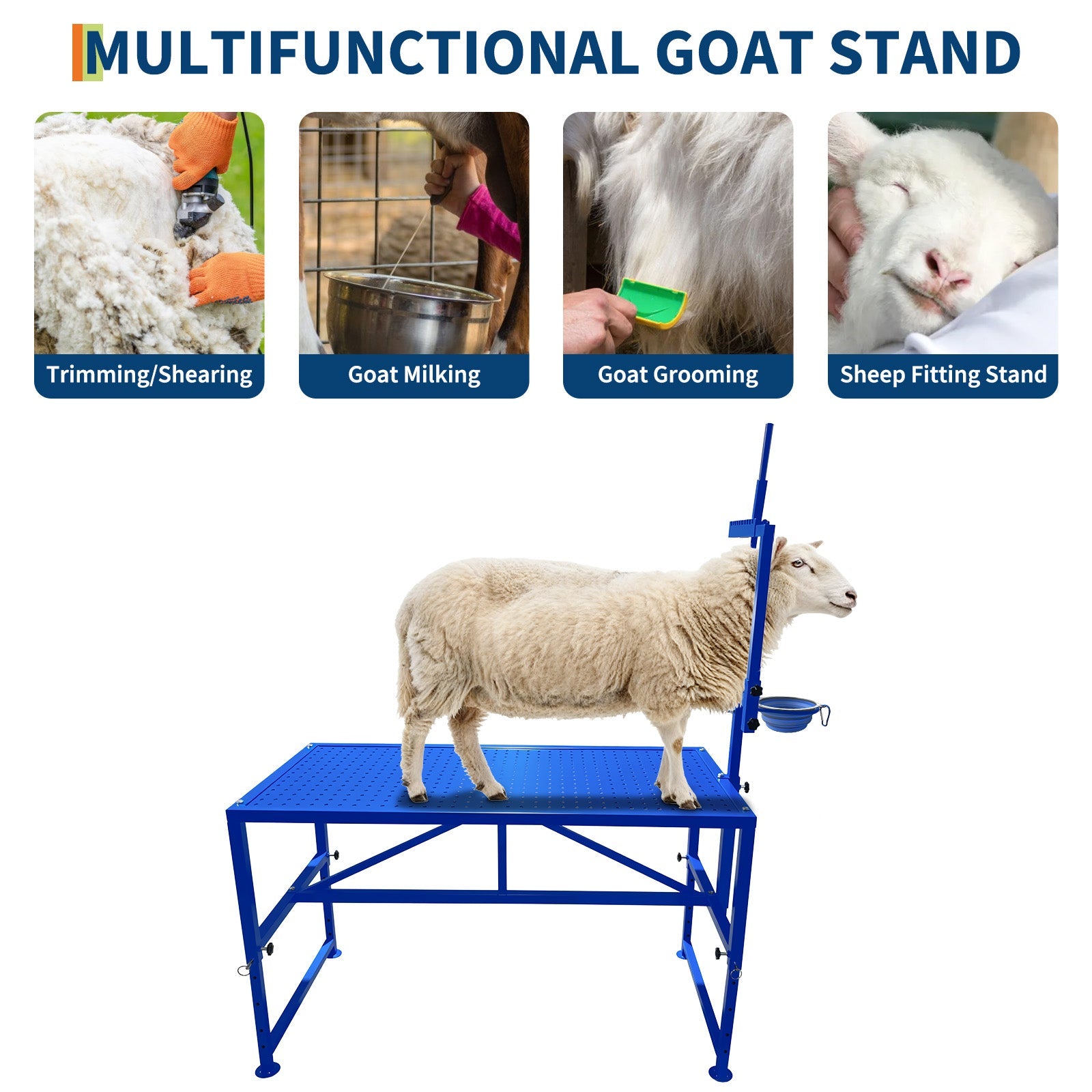 Garvee Heavy Duty Metal Goat Milking and Hoof Trimming Stand with Adjustable Headpiece & Legs, Built-in Feed Bin, 600 lbs Capacity - Ideal for Sheep, Goats, and Livestock Grooming - Tool Set, Blue