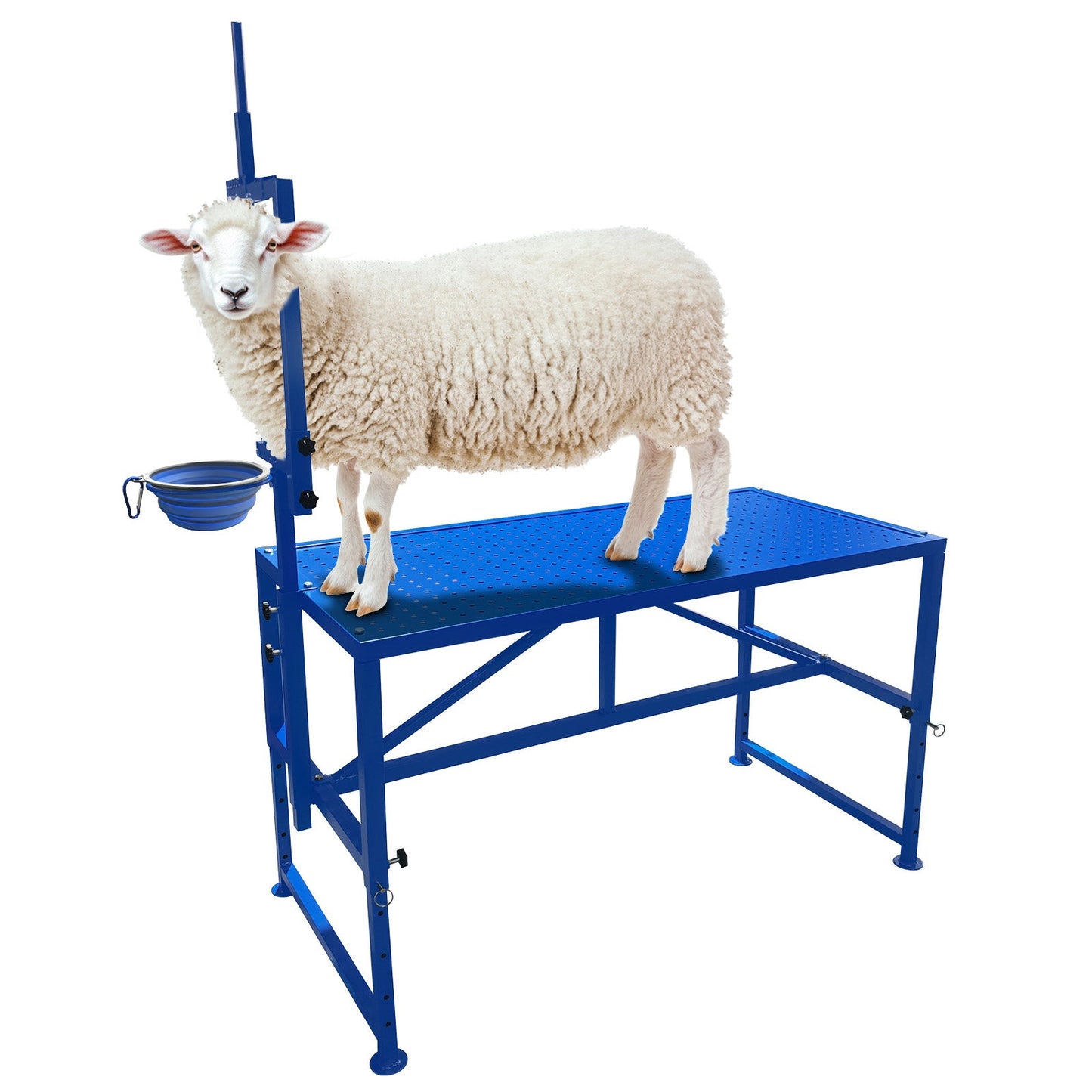 Garvee Heavy Duty Metal Goat Milking and Hoof Trimming Stand with Adjustable Headpiece & Legs, Built-in Feed Bin, 600 lbs Capacity - Ideal for Sheep, Goats, and Livestock Grooming - Tool Set, Blue