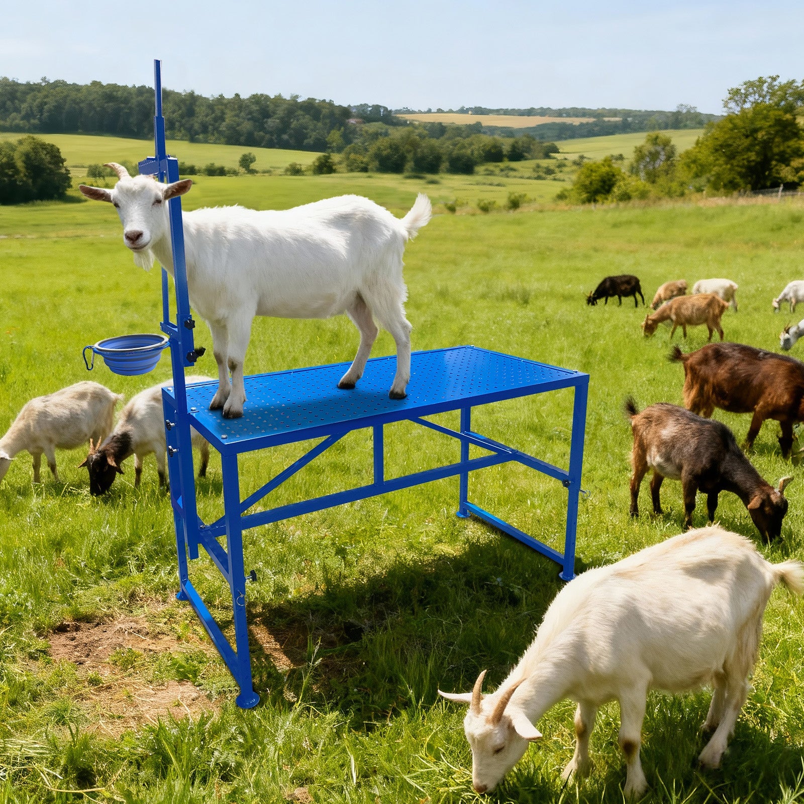 Garvee Heavy Duty Metal Goat Milking and Hoof Trimming Stand with Adjustable Headpiece & Legs, Built-in Feed Bin, 600 lbs Capacity - Ideal for Sheep, Goats, and Livestock Grooming - Tool Set, Blue