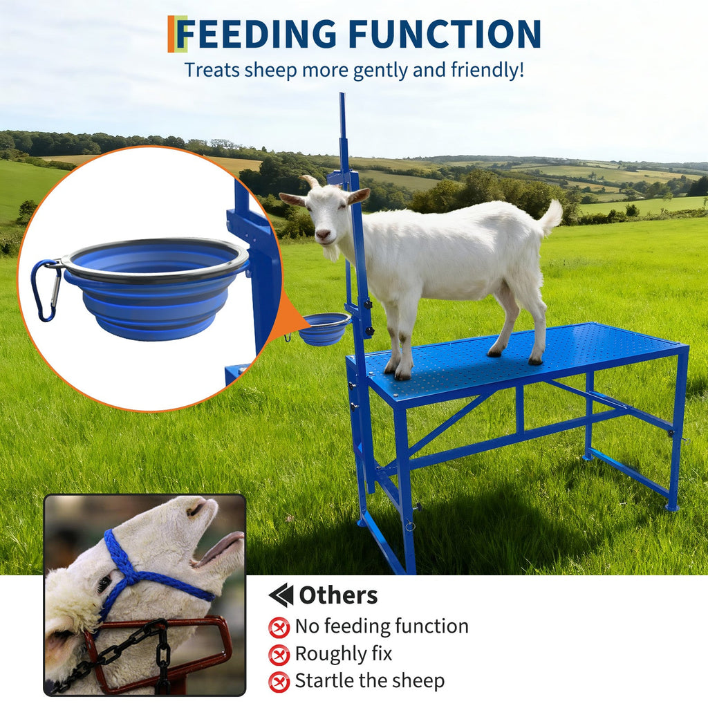 Garvee Heavy Duty Metal Goat Milking and Hoof Trimming Stand with Adjustable Headpiece & Legs, Built-in Feed Bin, 600 lbs Capacity - Ideal for Sheep, Goats, and Livestock Grooming - Tool Set, Blue