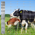 Garvee Livestock Fence, 5‘ x 164’ Galvanized Wire Fencing, Cattle Farm Fence, Deer Fences, Heavy Zinc Goat Fences for Goat Deer Yard Livestock Protection