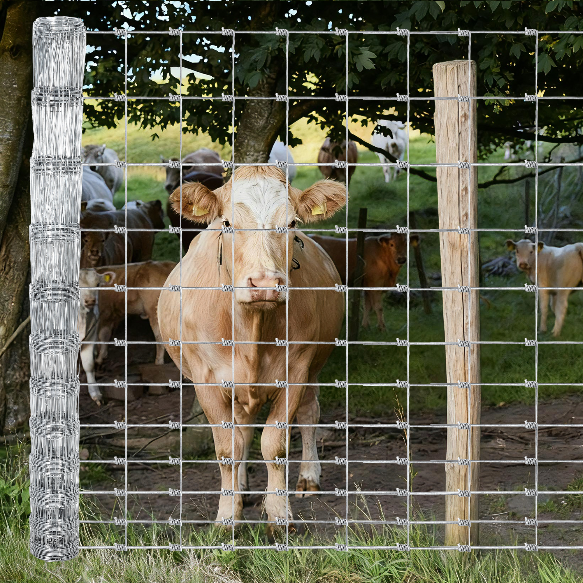 Garvee Livestock Fence, 6Ft x 328Ft Galvanized Wire Fencing, Cattle Farm Fence, Deer Fences, Heavy Zinc Goat Fences for Goat Deer Yard Livestock Protection