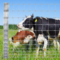 Garvee Livestock Fence, 6Ft x 328Ft Galvanized Wire Fencing, Cattle Farm Fence, Deer Fences, Heavy Zinc Goat Fences for Goat Deer Yard Livestock Protection