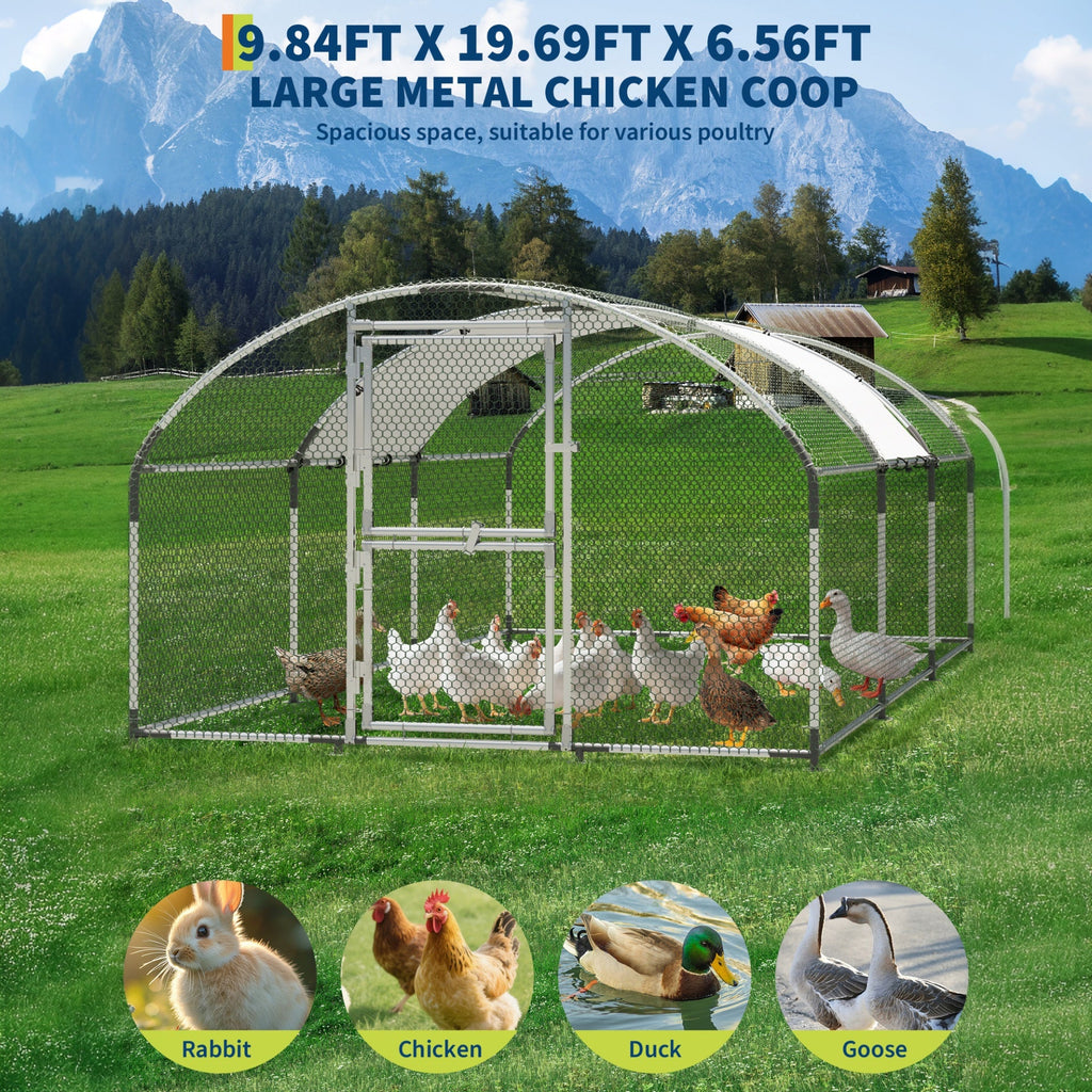 Garvee Upgrade Large Metal Chicken Coop with Feeder Door & Escape-Proof Design, Outdoor Domeroof Walk-in Poultry Hen with Waterproof Anti-UV Cover, Up to 30 Chickens,for Yard or Farm 19.7x 9.8x6.6FT