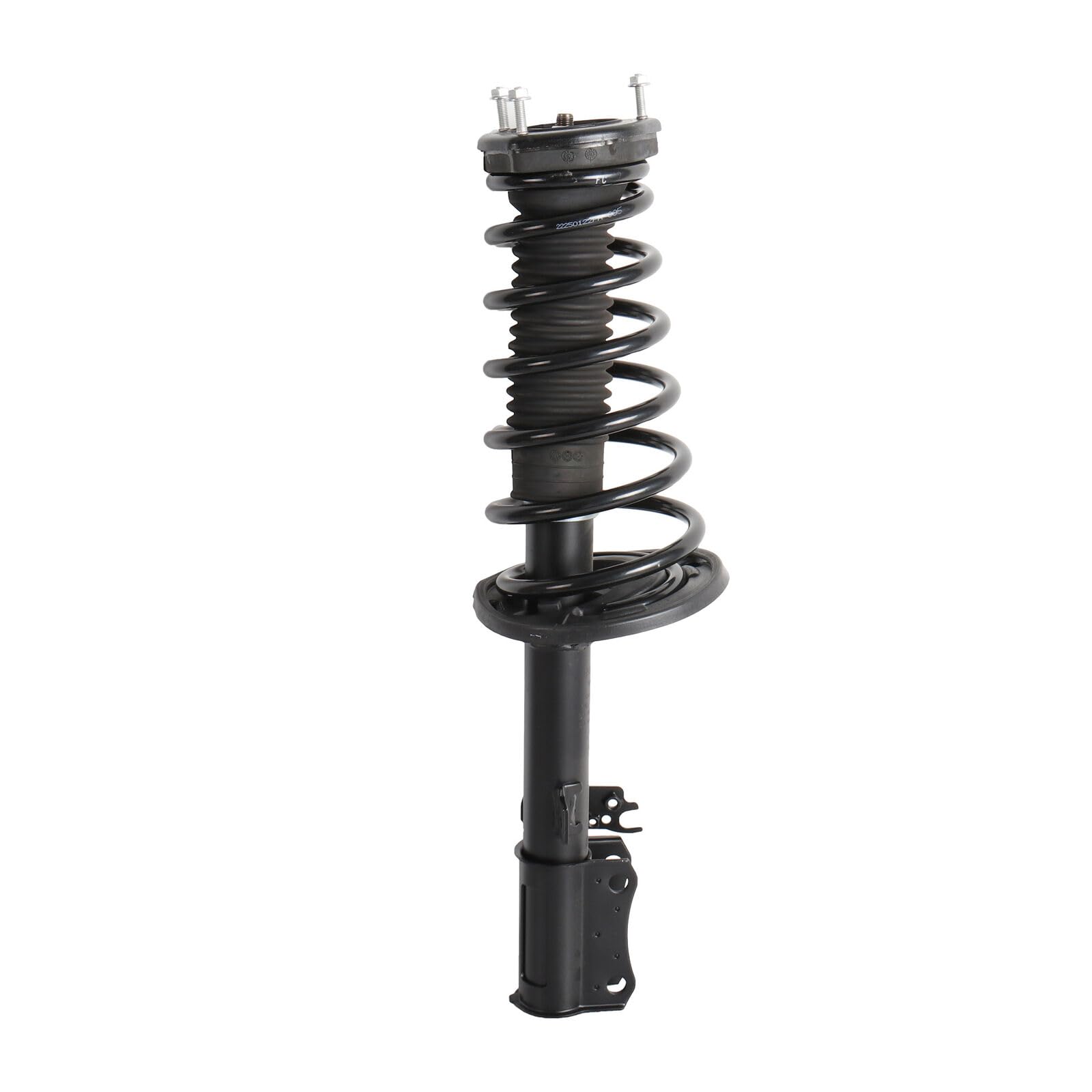 Garvee Rear Complete Strut Assembly 2007-2012 ES350 172310 172309