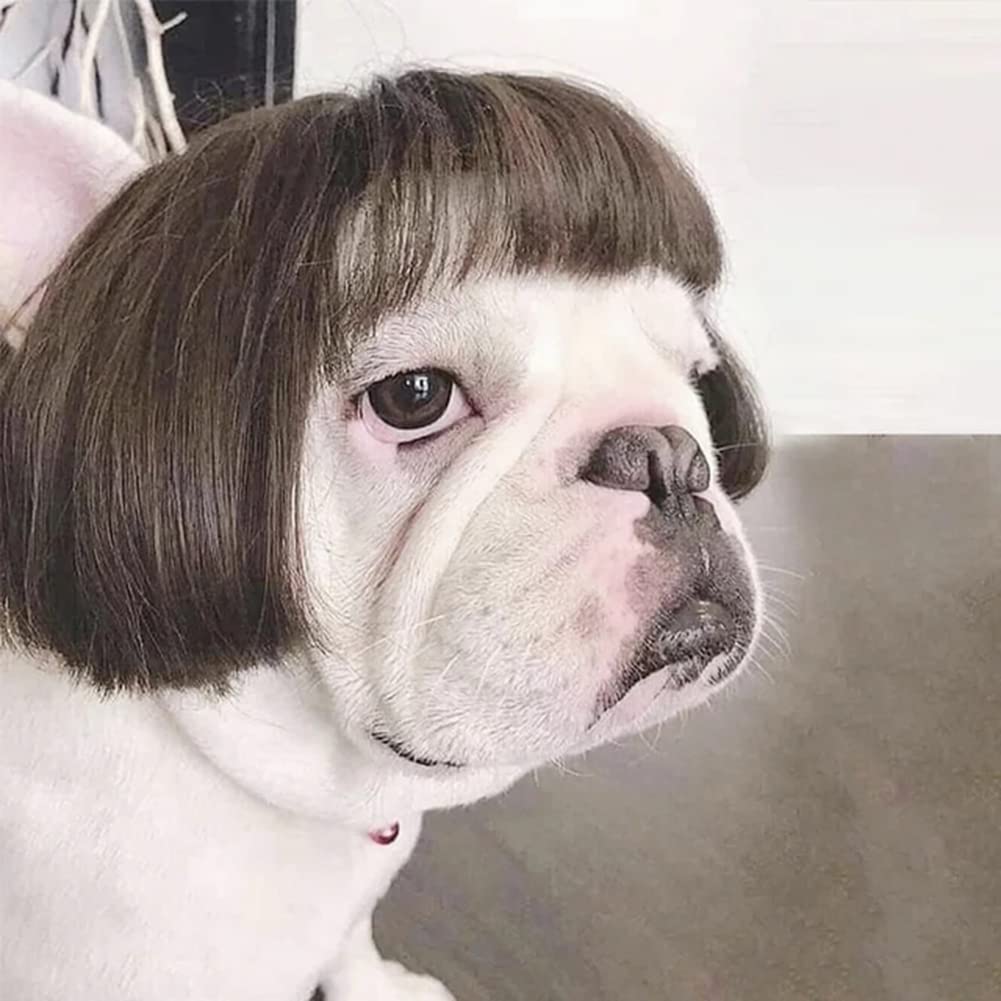 Garvee Pet Wigs Dog Cat Headdress Adjustable with 2 Elastic Bands Pet Wigs Funny Dogs Cats Head Accessories Cosplay Props for Halloween Christmas Pet Dog Cat Decoration Cosplay Costume Toy