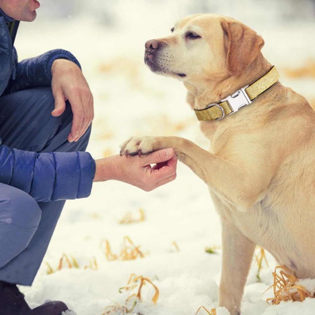 Garvee Pet Dog Collars Bling Dog Bow Tie Collar Cute Girl Dog Collar with Safety Metal Buckle for Small Boy Girl Dogs Cats Neck Fit 9-12" Navy Blue