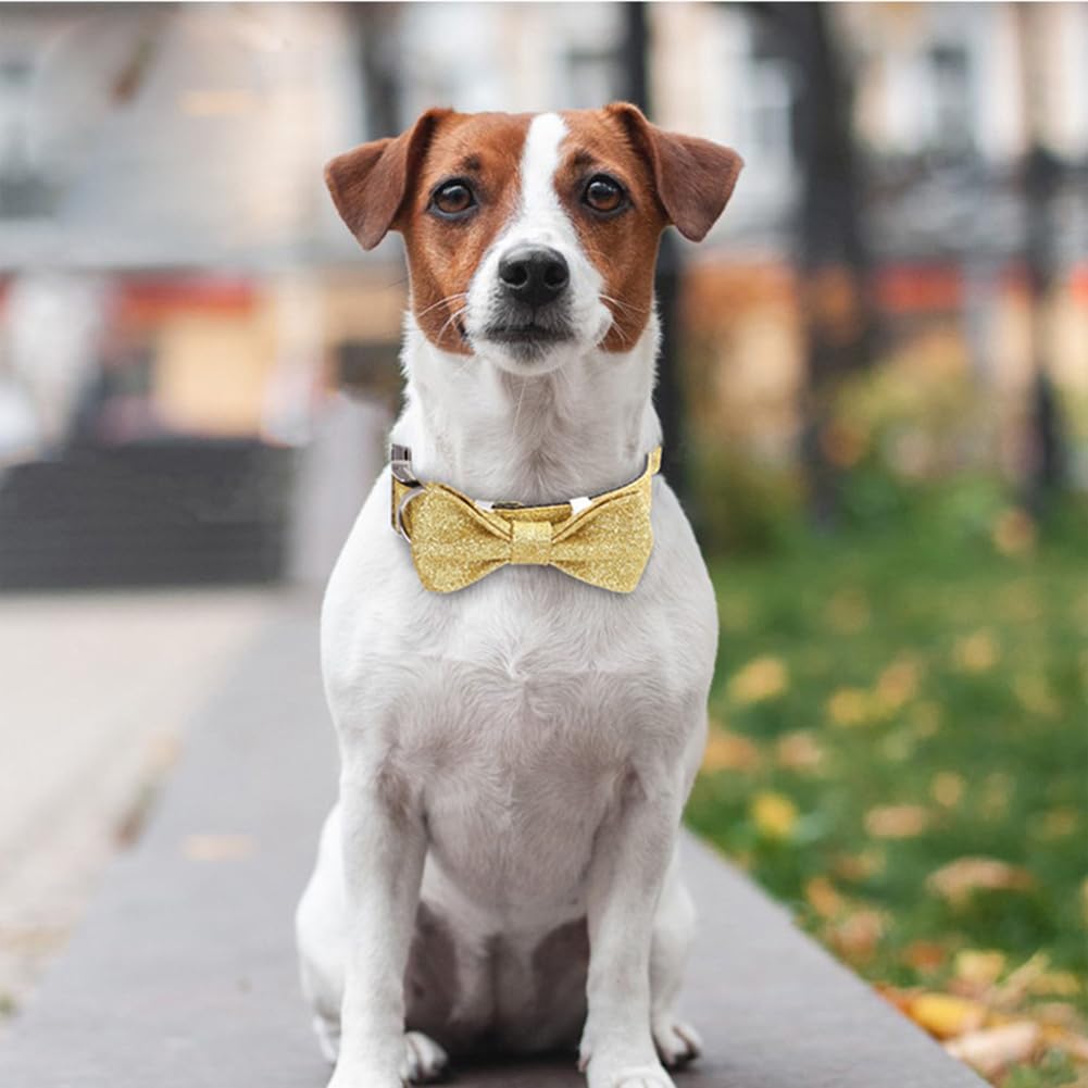 Garvee Bling Dog Bow Tie Collar Cute Nylon Dog Collar with Bow Tie Safety Metal Buckle for Daily Walking Holiday Party Champagne XS Size: 1.5x30cm