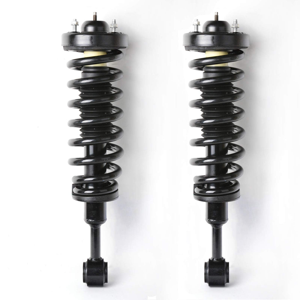 Garvee 2004-2008 F150 Front Struts & Springs 171361 Pair Complete