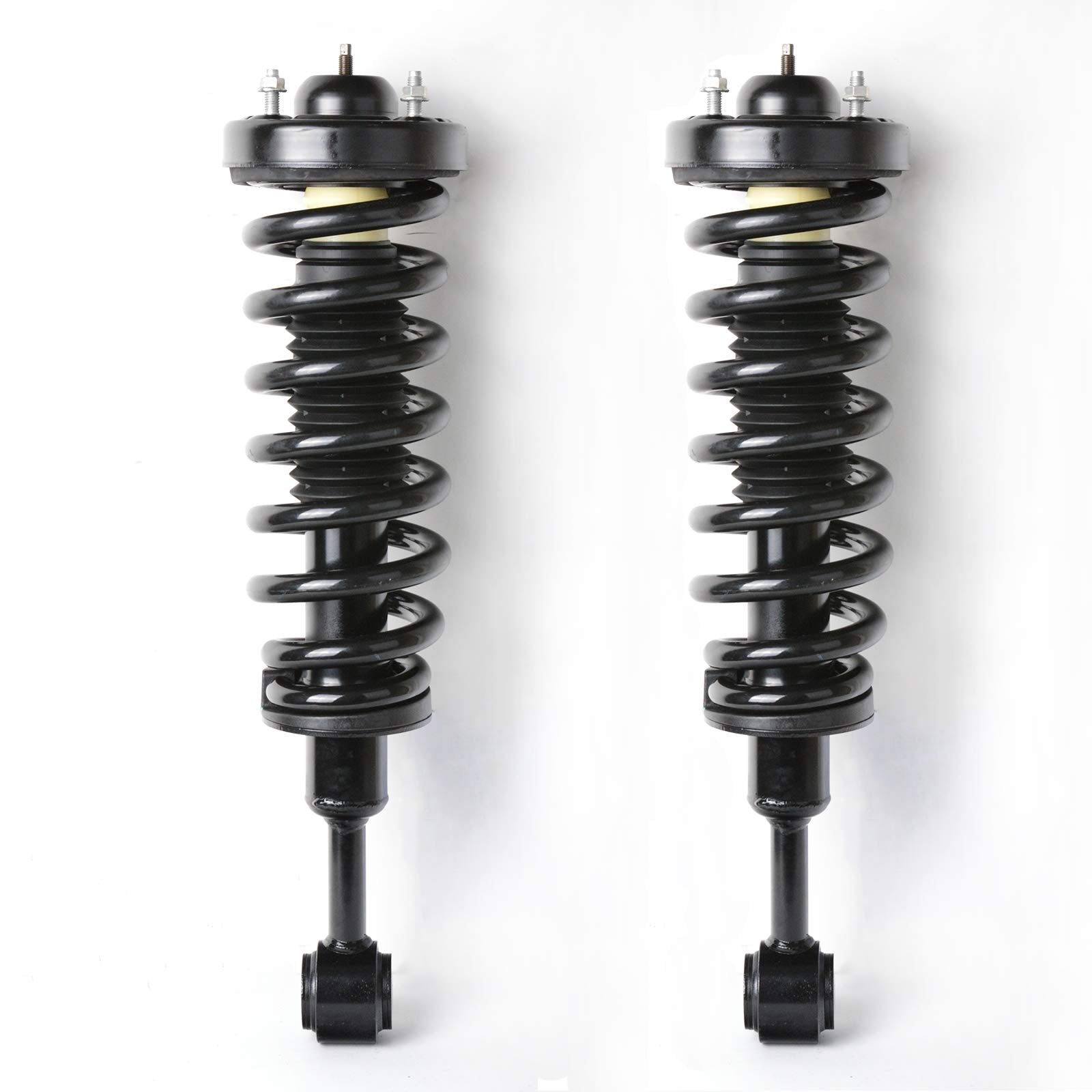 Garvee 2004-2008 F150 Front Struts & Springs 171361 Pair Complete