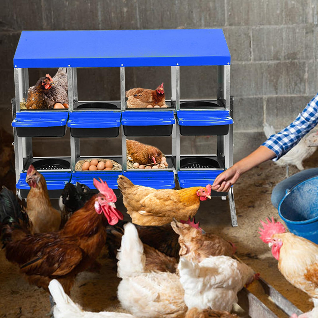 Garvee Chicken Nesting Box 8-Hole Roll Away Egg Laying Box with Lid, Heavy-Duty Galvanized Steel, Blue, Easy Clean & Egg Collection