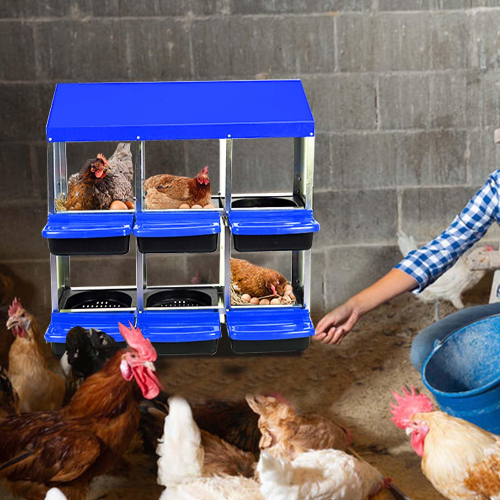 Garvee Chicken Nesting Box 6-Hole Roll Away Egg Laying Box with Lid Heavy-Duty Galvanized Steel Rustproof Design Wall-Mountable Blue