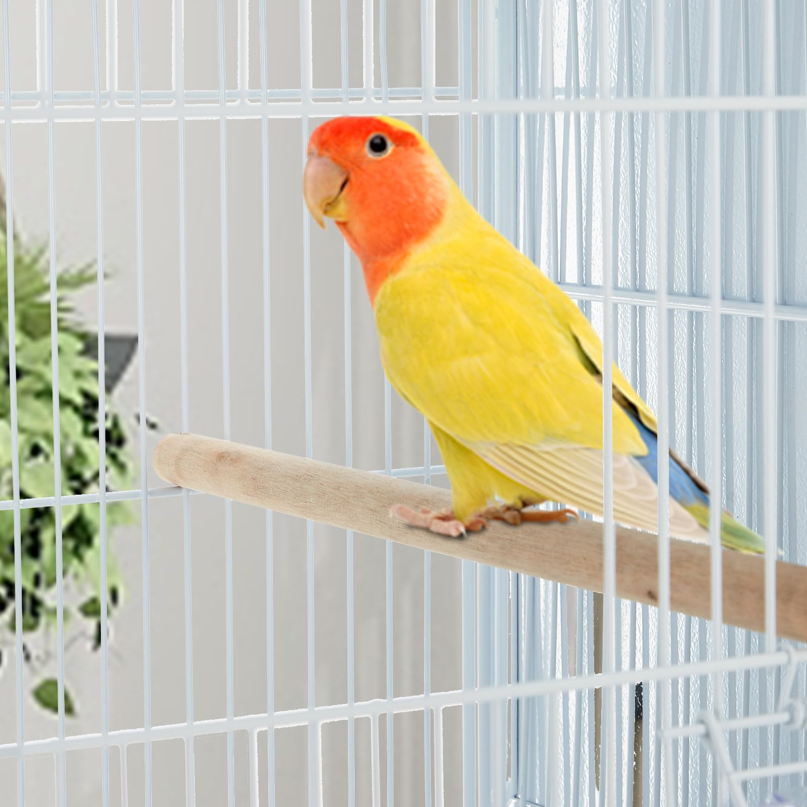 Garvee Extra Large Metal Bird Cage for Mid-Sized Parrots Cockatiels Conures Parakeets Lovebirds Budgie Finch, White, W33.5 x D11 x H67