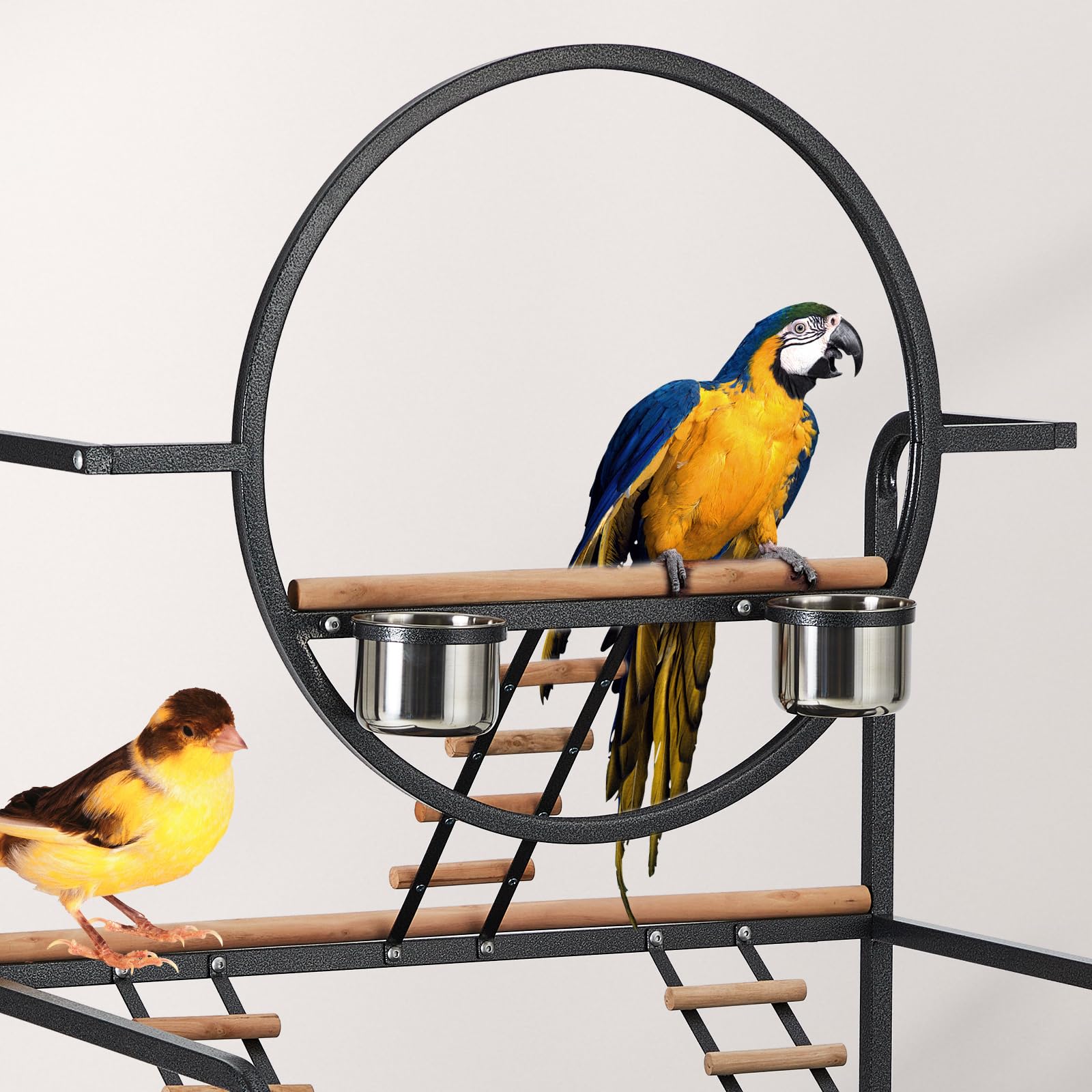 Garvee Bird Cage with Transparent Walls Metal Frame Habitat for Canaries Lovebirds Pet Birds Black with Lockable Wheels and Detachable Tray