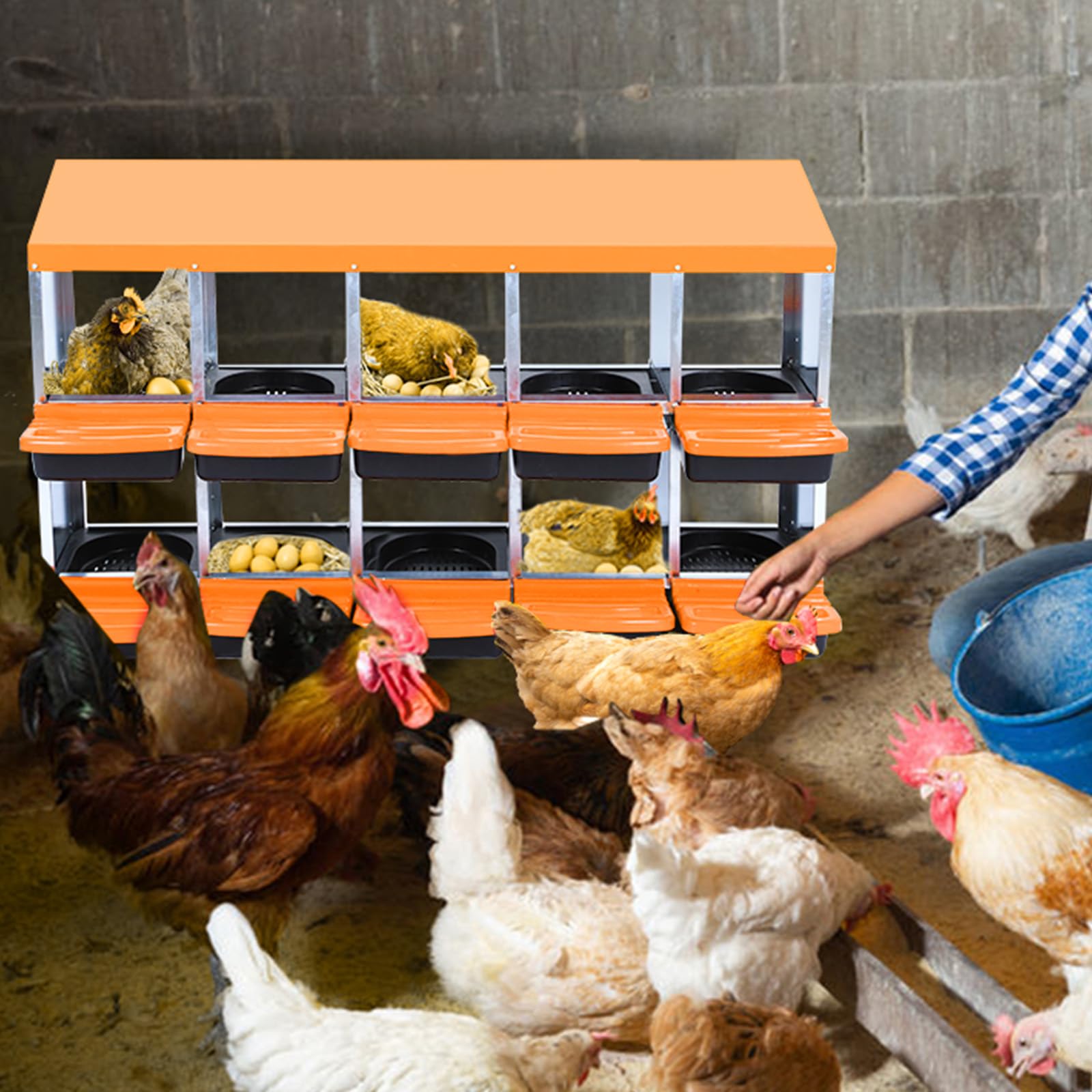Garvee Chicken Nesting Box 10-Hole Roll Away Egg Laying Box with Lid Heavy-Duty Galvanized Steel Rustproof Design Wall-Mountable Orange