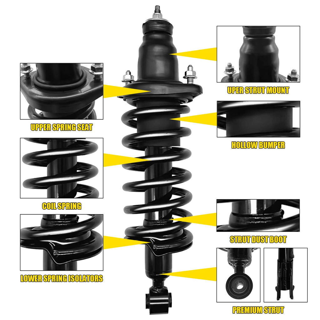 Garvee 2001-2005 Civic Rear Struts & Springs Pair 171340 Complete