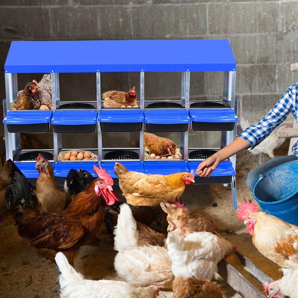 Garvee Chicken Nesting Box 10-Hole Roll Away Egg Laying Box with Lid Heavy-Duty Galvanized Steel Rustproof Design Blue with Bracket Legs