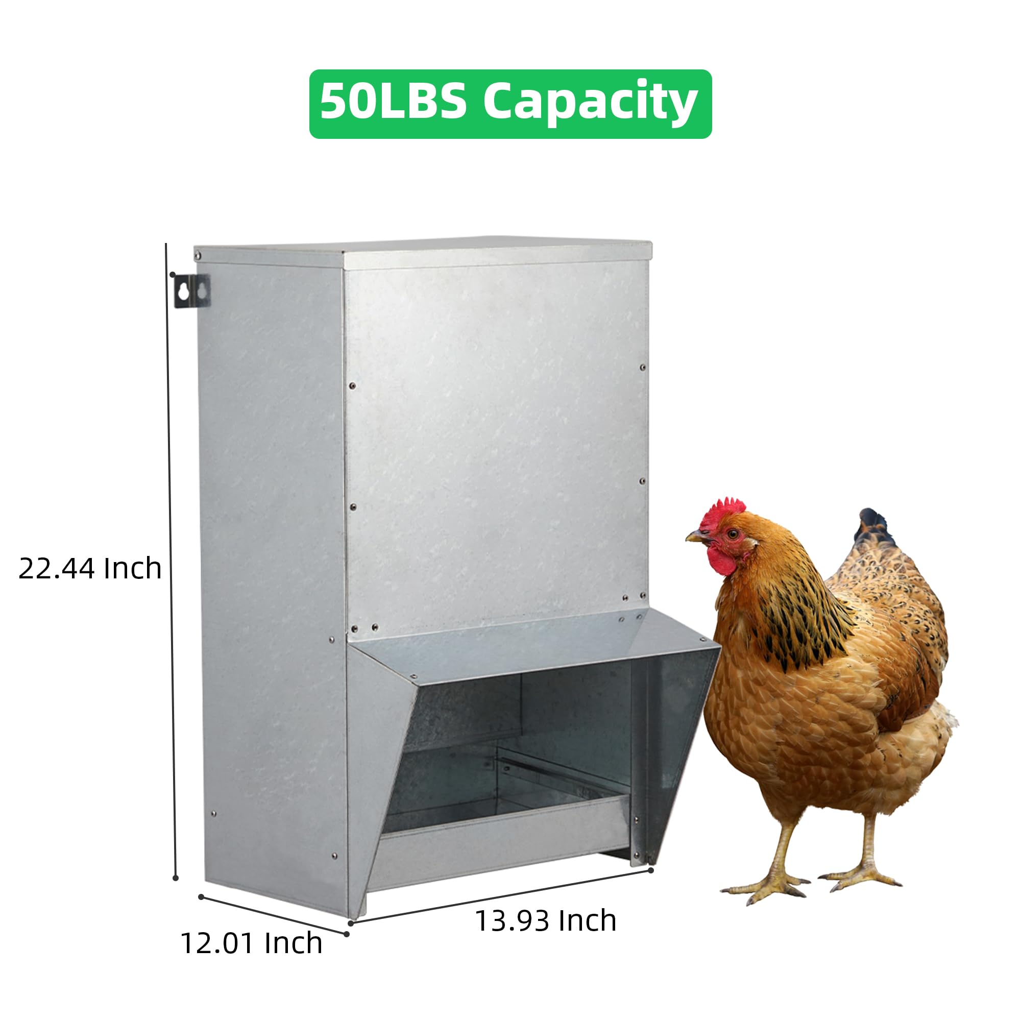 Garvee Galvanized Chicken Treadle Feeder, Poultry Feeder, 50lbs Automatic Chicken Feeder with Sides Buffer System, for 30-40 Chickens