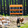Garvee Chicken Nesting Box 8-Hole Roll Away Egg Laying Box with Lid, Heavy-Duty Galvanized Steel, Orange, Easy Egg Collection & Cleaning