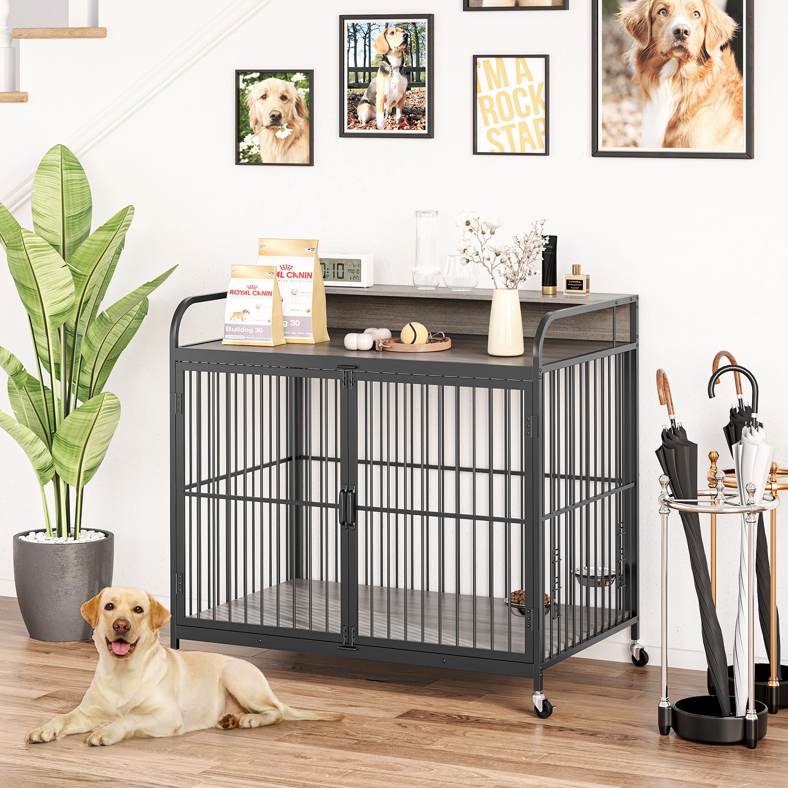 Garvee Dog Crate Furniture, Dog Crate Indoor with Adjustable Height Bowls, Wooden Heavy Duty, 39.8 Inch Dog Kennel Furniture for Medium Dogs, 39.8" L X 22.5" W X 38.6" H,Grey