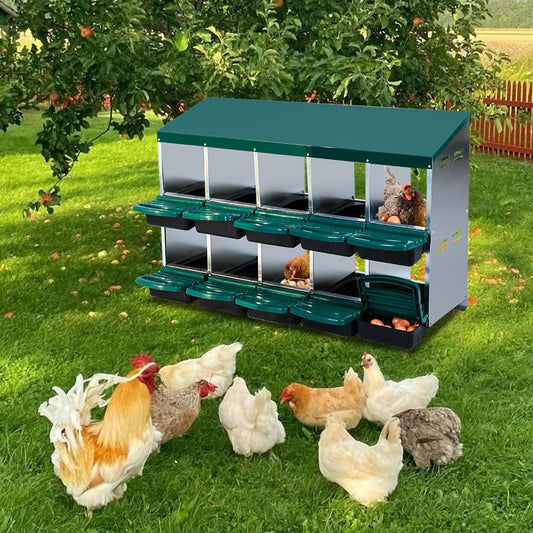 Garvee Nesting Boxes for Chickens, 10 Compartment Roll Away Nesting Box with Egg Collection, Perch, Lid Cover for Egg Protection, Wall Mount/Free Standing Nest Box for Chickens
