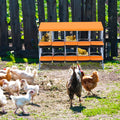 Garvee Chicken Nesting Box 10-Hole Roll Away Egg Laying Box with Lid Heavy-Duty Galvanized Steel Rustproof Design Wall-Mountable Orange