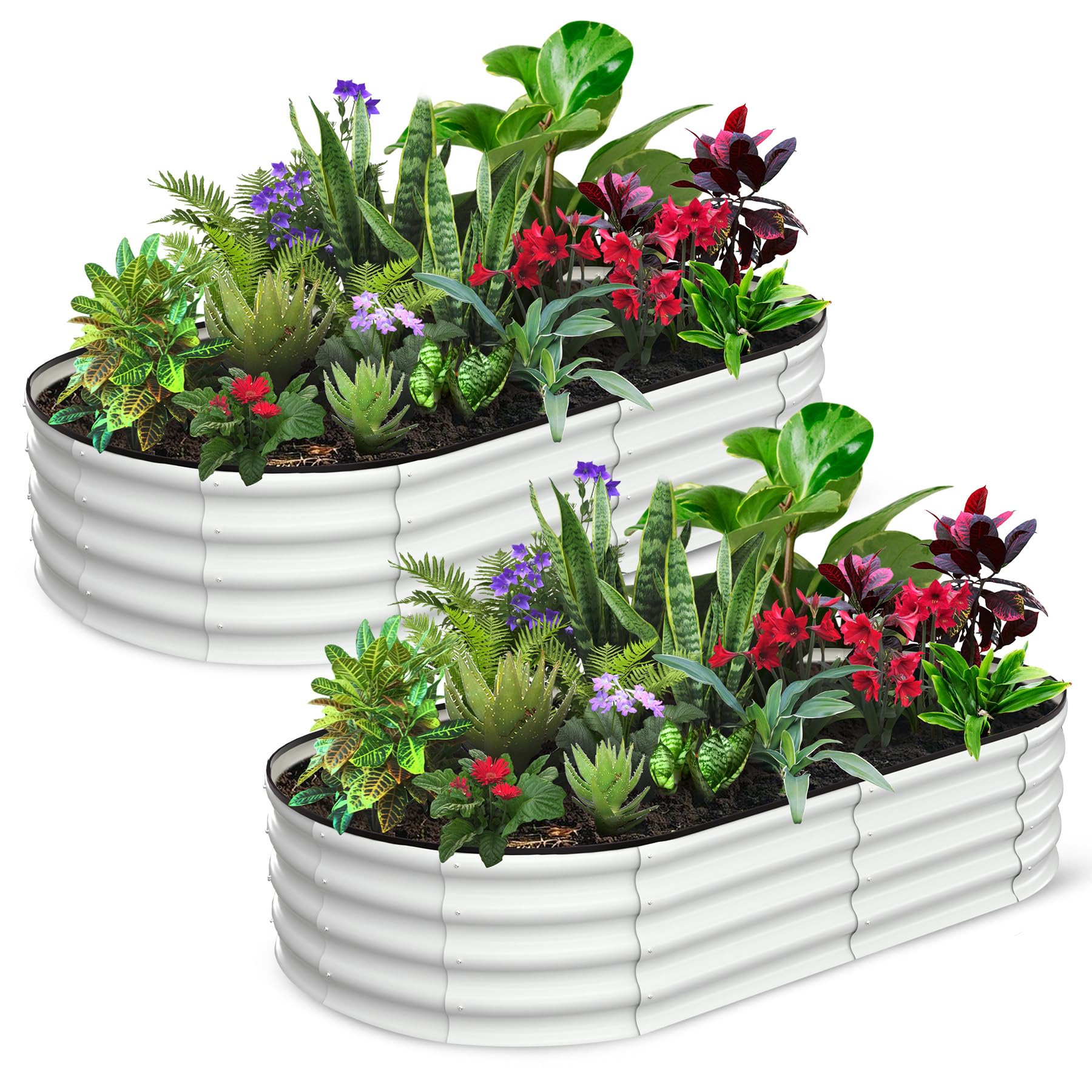 Garvee 2 Pcs 6' X 3' X 1' Oval Raised Garden Bed, Galvanized Raised Beds for Outdoor, Planter Raised Boxes with Open-Ended Base,Large Metal Raised Planter Beds for Vegetables,Flowers,Tool-Free Assembly, White