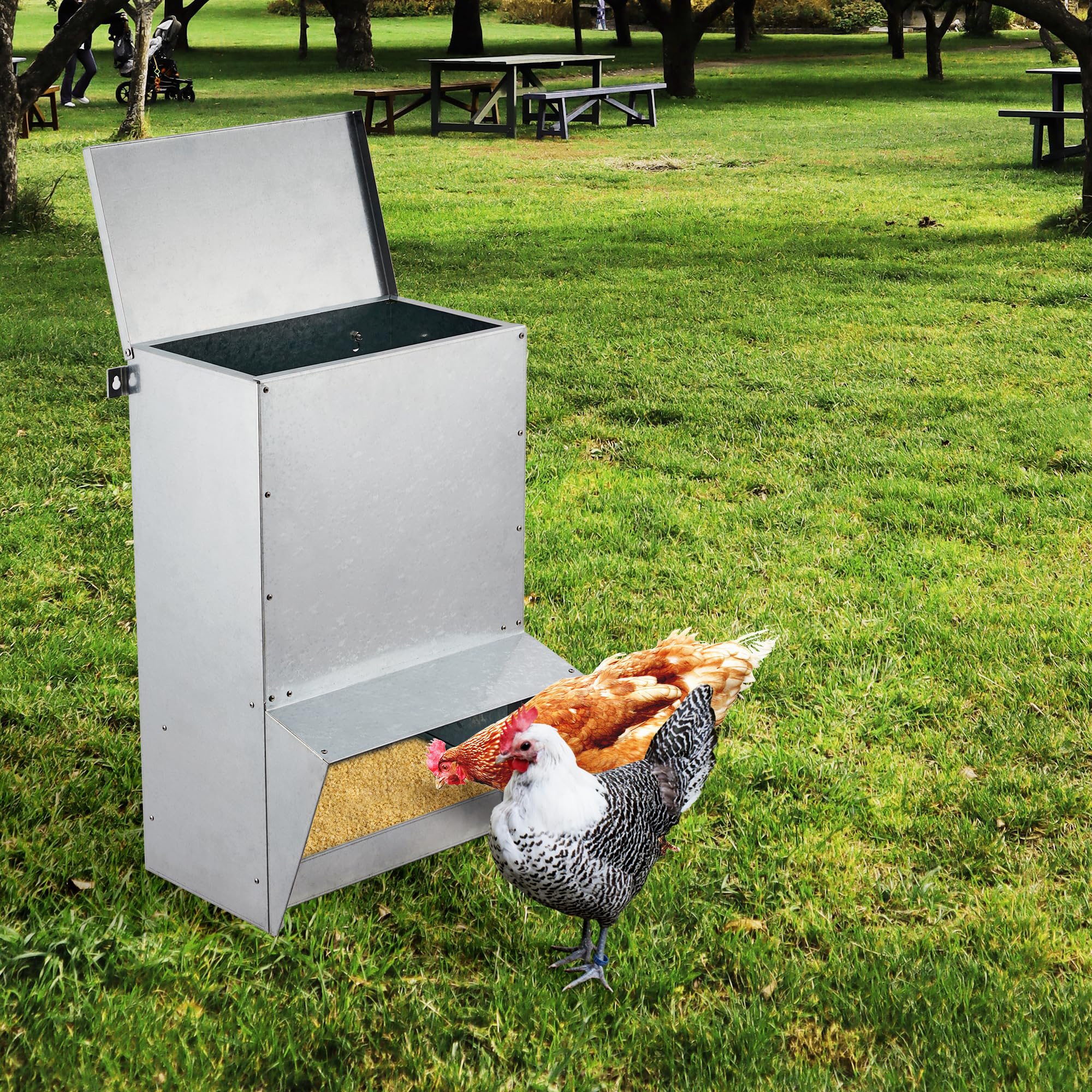 Garvee Galvanized Chicken Treadle Feeder, Poultry Feeder, 50lbs Automatic Chicken Feeder with Sides Buffer System, for 30-40 Chickens