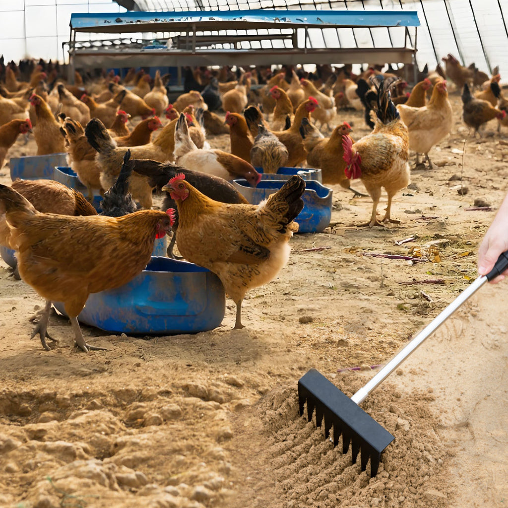 Garvee 3 In 1 Chicken Poop Scooper for Sand, Chicken Coop Scoop Cleaning Tool with Rake & Shovel, Adjustable Stainless Steel Handle, Easy Clean Poultry Litter Cleaning Tool
