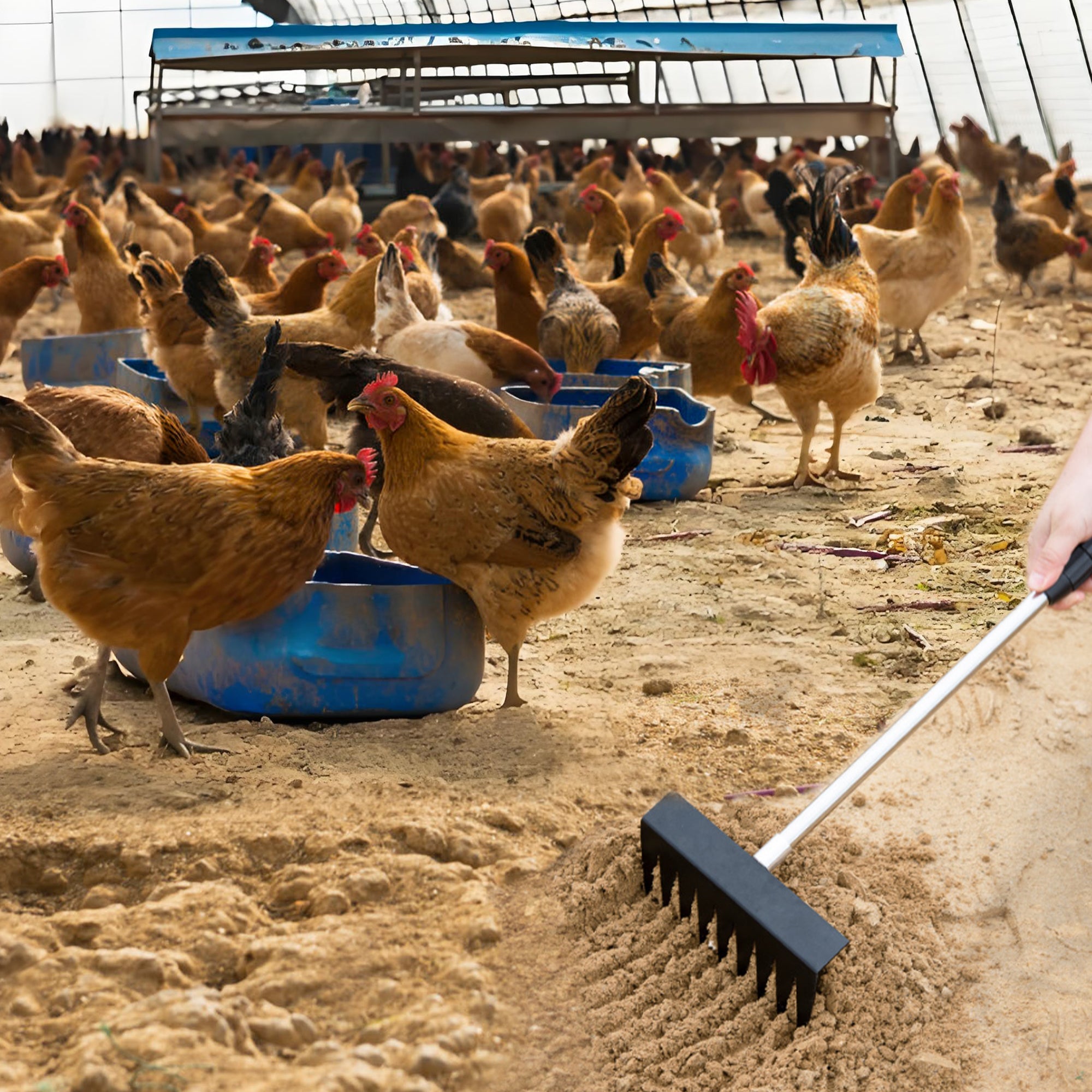 Garvee 3 In 1 Chicken Poop Scooper for Sand, Chicken Coop Scoop Cleaning Tool with Rake & Shovel, Adjustable Stainless Steel Handle, Easy Clean Poultry Litter Cleaning Tool