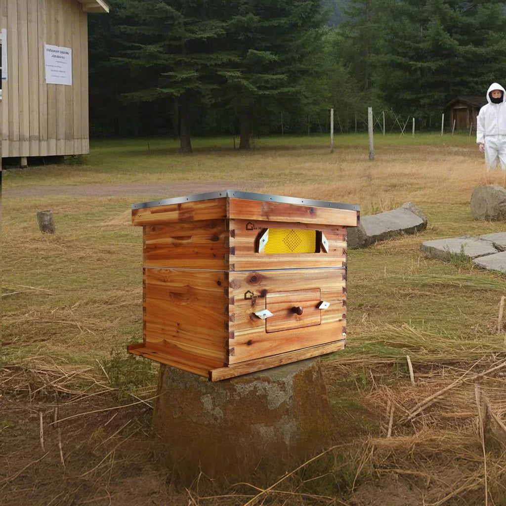 Garvee 10-Frame Langstroth Beehive Kit with Acrylic Window, Beeswax Coated, Cedarwood, Easy Assembly, Ventilated, Starter Kit for Beekeepers