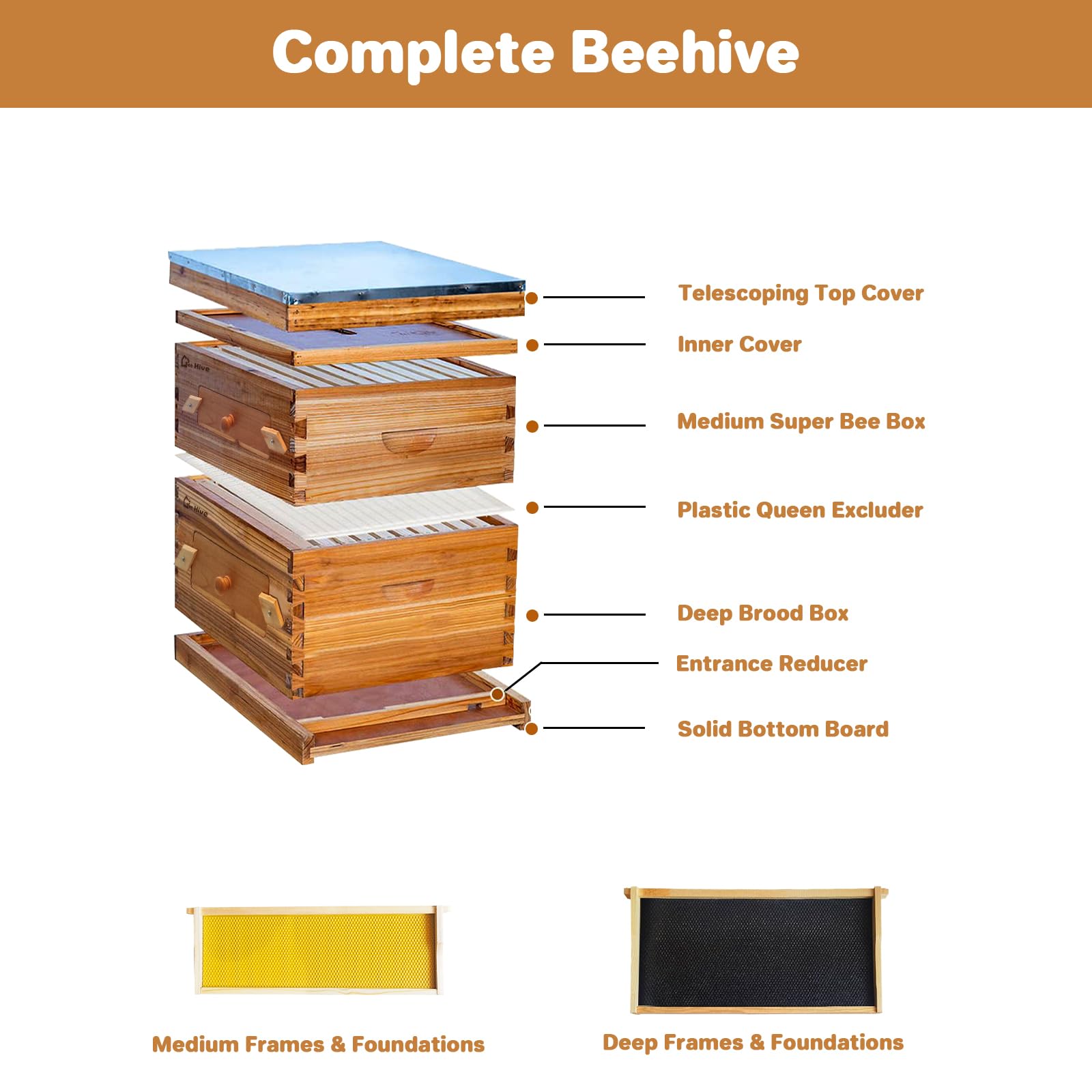Garvee 10-Frame Langstroth Beehive Kit with Acrylic Window, Beeswax Coated, Cedarwood, Easy Assembly, Ventilated, Starter Kit for Beekeepers