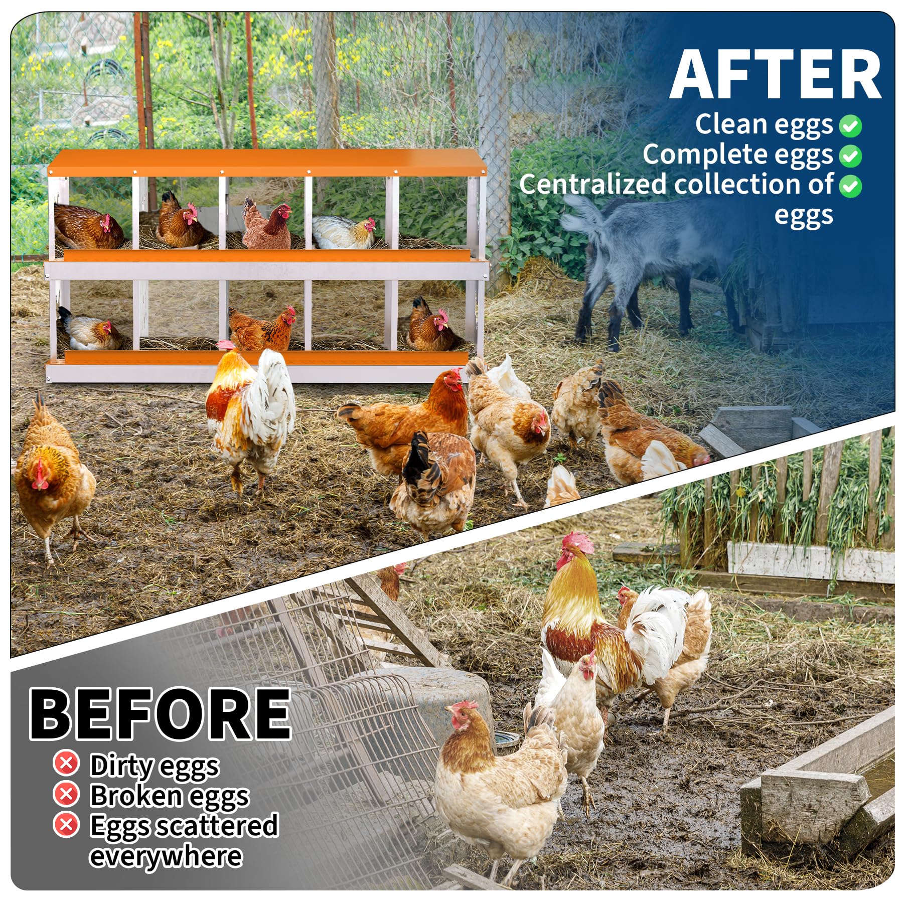 Garvee 10-Hole Chicken Nesting Box Galvanized Steel Rustproof Automatic Egg Collection Ventilated Easy Install Wall or Freestanding for Chicken Coop Orange