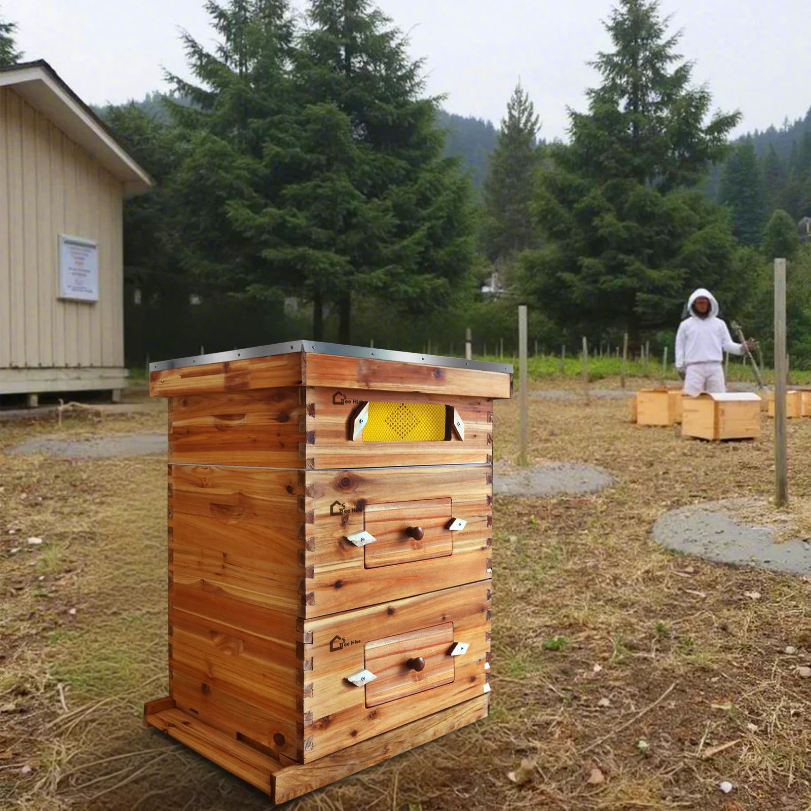 Garvee 10-Frame Langstroth Beehive Kit with Acrylic Window, Beeswax Coated Cedarwood, Easy Assembly, Ventilated Design, Complete Starter Set for Beekeeping
