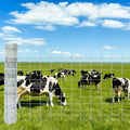 GARVEE 5'x164' Heavy Duty Galvanized Wire Mesh - 14-Gauge Steel Fence for Pasture/Stable/Yard Enclosure (Farm Fencing)