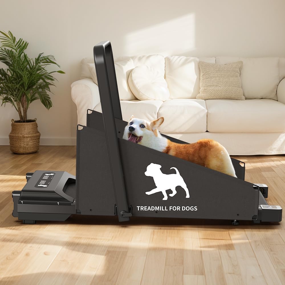 Garvee Dog Treadmill for Small and Medium Dogs, 2.5 Hp Foldable Pet Treadmill for Doggy Running Machine, 2 in 1 Foldable Pet Pacer Treadmill Pad with LED Display for Home Use, Black