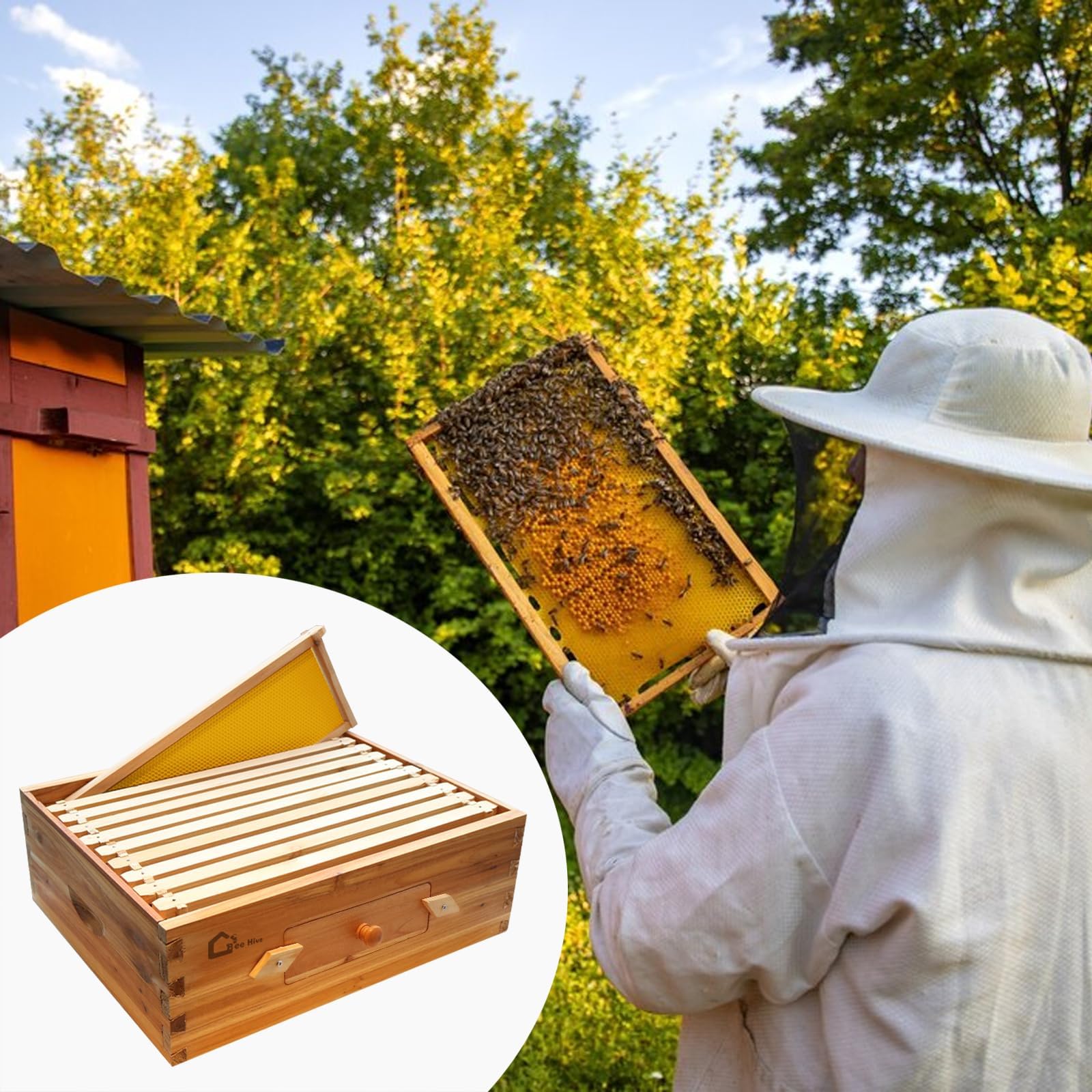 Garvee 10-Frame Medium Super Bee Hive Box Langstroth Compatible Beeswax Coated Cedarwood Transparent Window Ventilated Observation Tool-Free Assembly Outdoor Beekeeping
