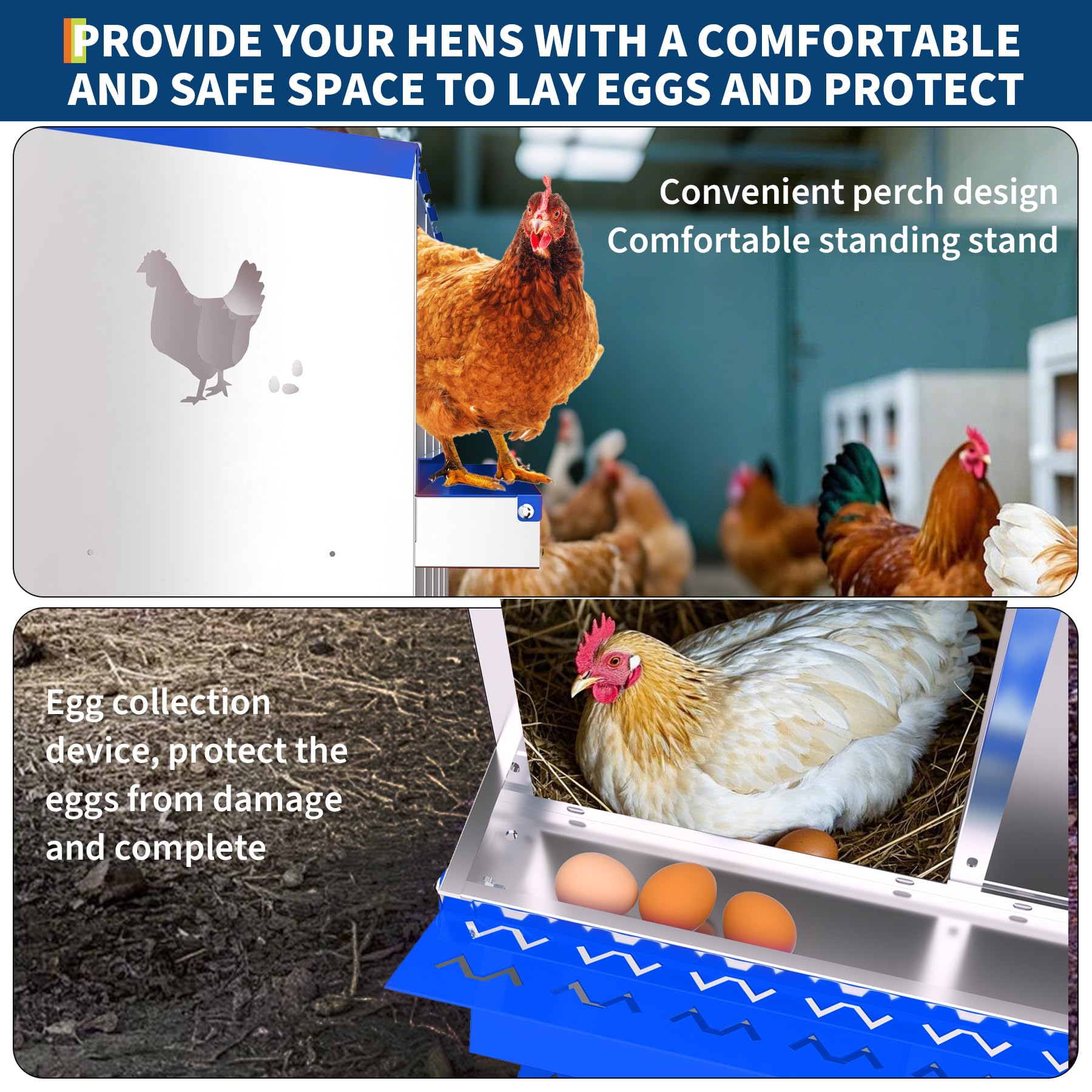 Garvee 10-Hole Bracket Legs Chicken Nesting Box Galvanized Steel Rustproof Automatic Egg Collection Ventilated Easy Install Wall or Freestanding for Chicken Coop Blue