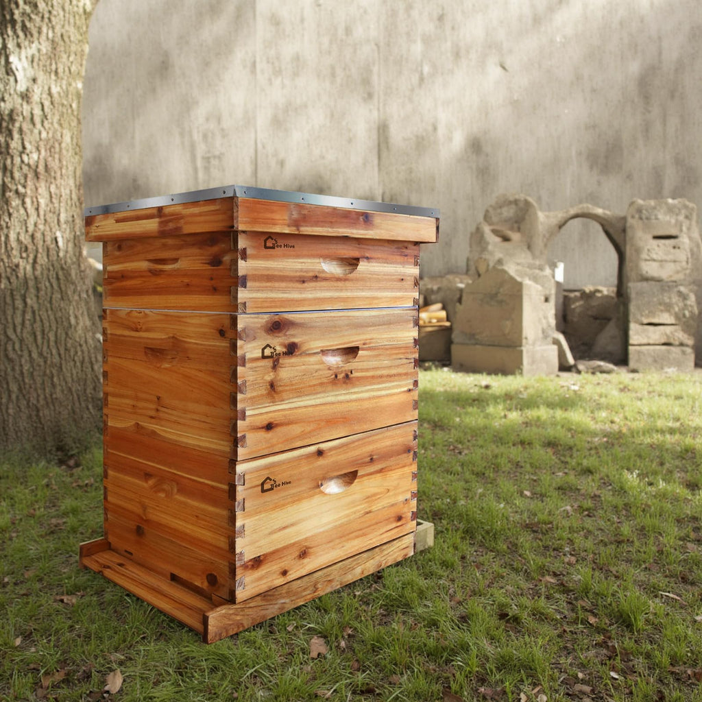 Garvee 10-Frame Langstroth Beehive Kit with Beeswax Coated Frames, Cedarwood, Dovetail Joints, Waterproof Cover, 2 Deep & 1 Medium Box, Beginner Friendly