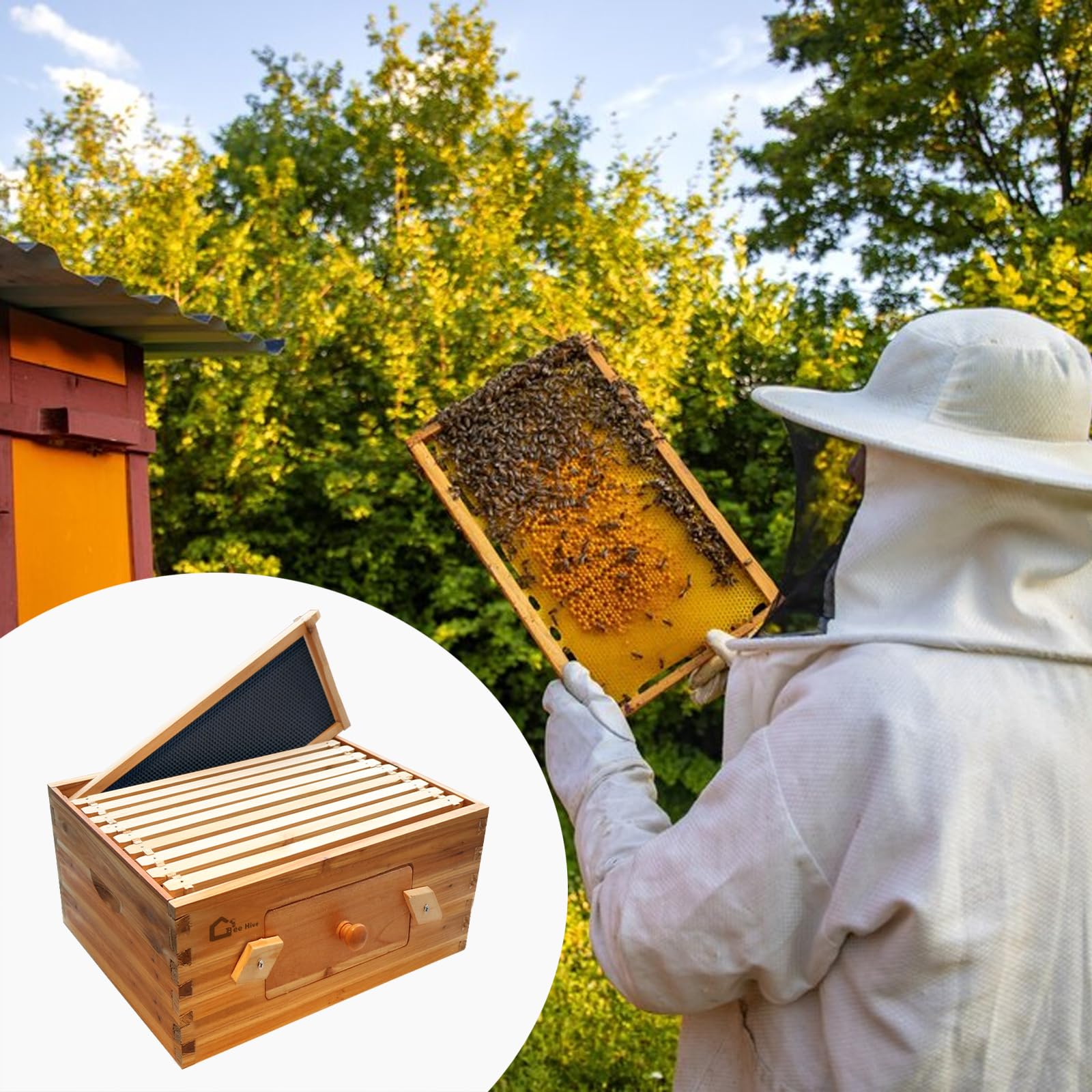 Garvee 10-Frame Deep Brood Bee Hive Box Langstroth Compatible Transparent Acrylic Window Heavy-Duty Beeswax Coated Cedarwood Durable Outdoor Beekeeping