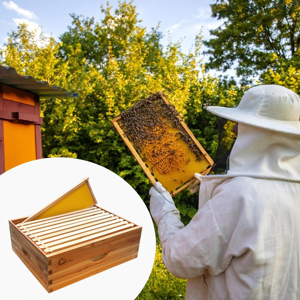 Garvee 10-Frame Langstroth Medium Super Bee Hive Box, Beeswax-Dipped, Cedarwood, Dovetail Assembly, Wax Coated, With Frames & Foundations, Beekeeping