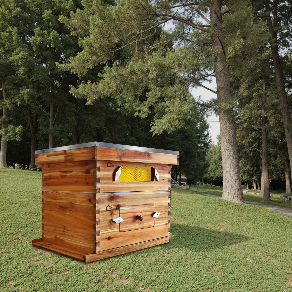 Garvee 10-Frame Langstroth Beehive Kit with Acrylic Window, Beeswax Coated, Cedarwood, Easy Assembly, Ventilated, Starter Kit for Beekeepers