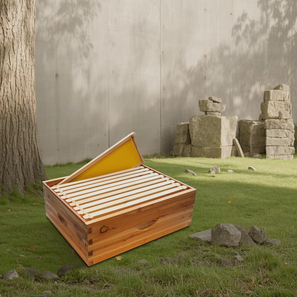Garvee 10-Frame Langstroth Medium Super Bee Hive Box, Beeswax-Dipped, Cedarwood, Dovetail Assembly, Wax Coated, With Frames & Foundations, Beekeeping