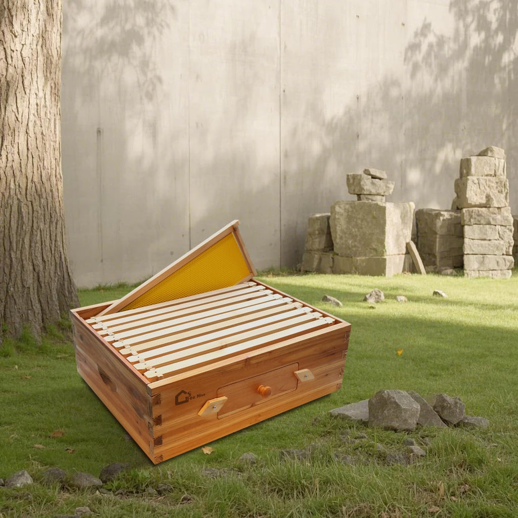 Garvee 10-Frame Medium Super Bee Hive Box Langstroth Compatible Beeswax Coated Cedarwood Transparent Window Ventilated Observation Tool-Free Assembly Outdoor Beekeeping