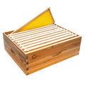 Garvee 10-Frame Langstroth Medium Super Bee Hive Box, Beeswax-Dipped, Cedarwood, Dovetail Assembly, Wax Coated, With Frames & Foundations, Beekeeping