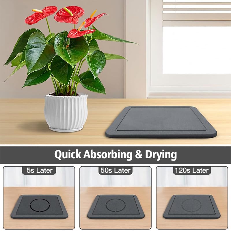 Garvee Diatomite Plant Saucer, Fast-Absorbing Plant Pot Tray with Deep Grooves, Natural Stone Drainage Tray for Indoor Plants, Decorative Holder for Soap & Sponge, Easy to Clean with Sandpaper, Eco-Friendly