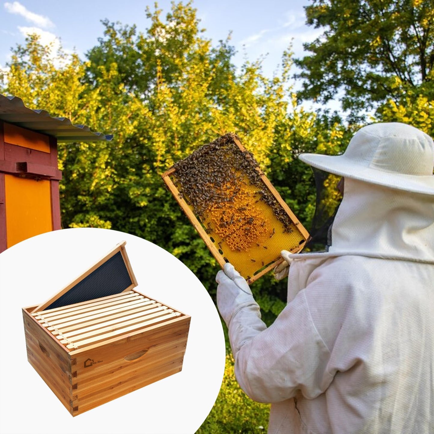 Garvee Deep Brood Bee Hive Kit Langstroth 10-Frame, Warp-Resistant Fir Wood, Beeswax-Coated, Pre-Drilled Holes, Tool-Free Assembly, Beekeeping Starter