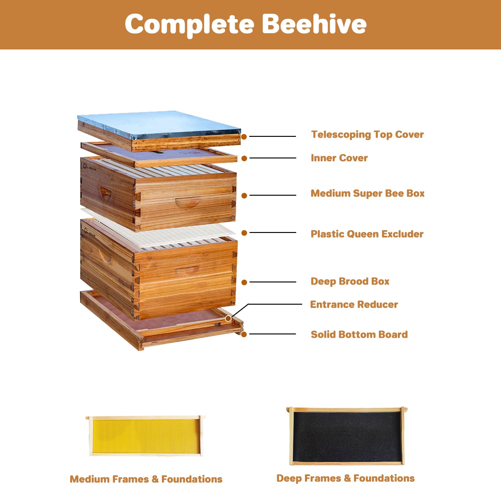 Garvee 10-Frame Langstroth Beehive Kit with Beeswax Coating, Cedarwood, Easy Assembly, Ventilated Design, Complete Starter Set for Beekeepers