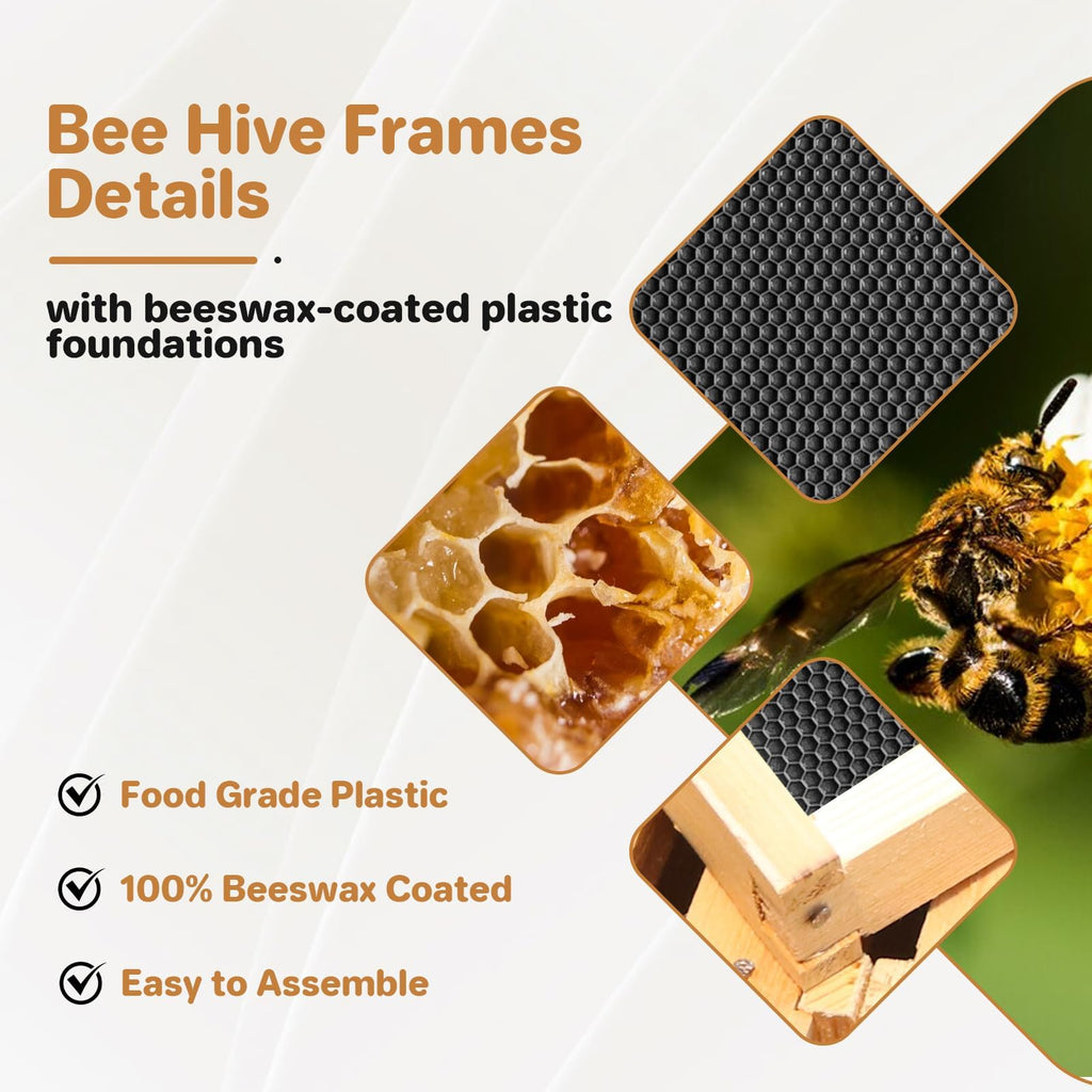Garvee Deep Brood Bee Hive Kit Langstroth 10-Frame, Warp-Resistant Fir Wood, Beeswax-Coated, Pre-Drilled Holes, Tool-Free Assembly, Beekeeping Starter